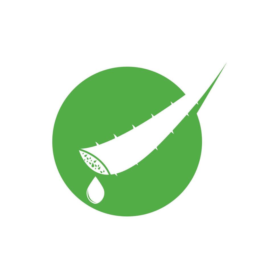 Aloe Vera logo icon design symbol beauty vector