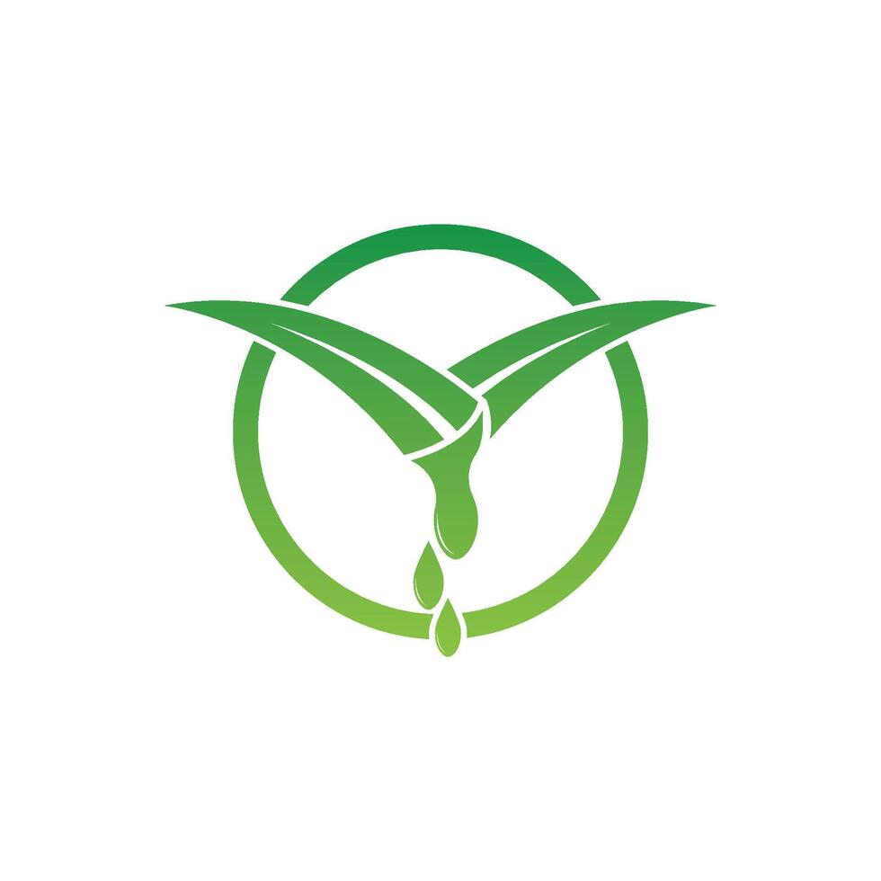 Aloe Vera logo icon design symbol beauty vector