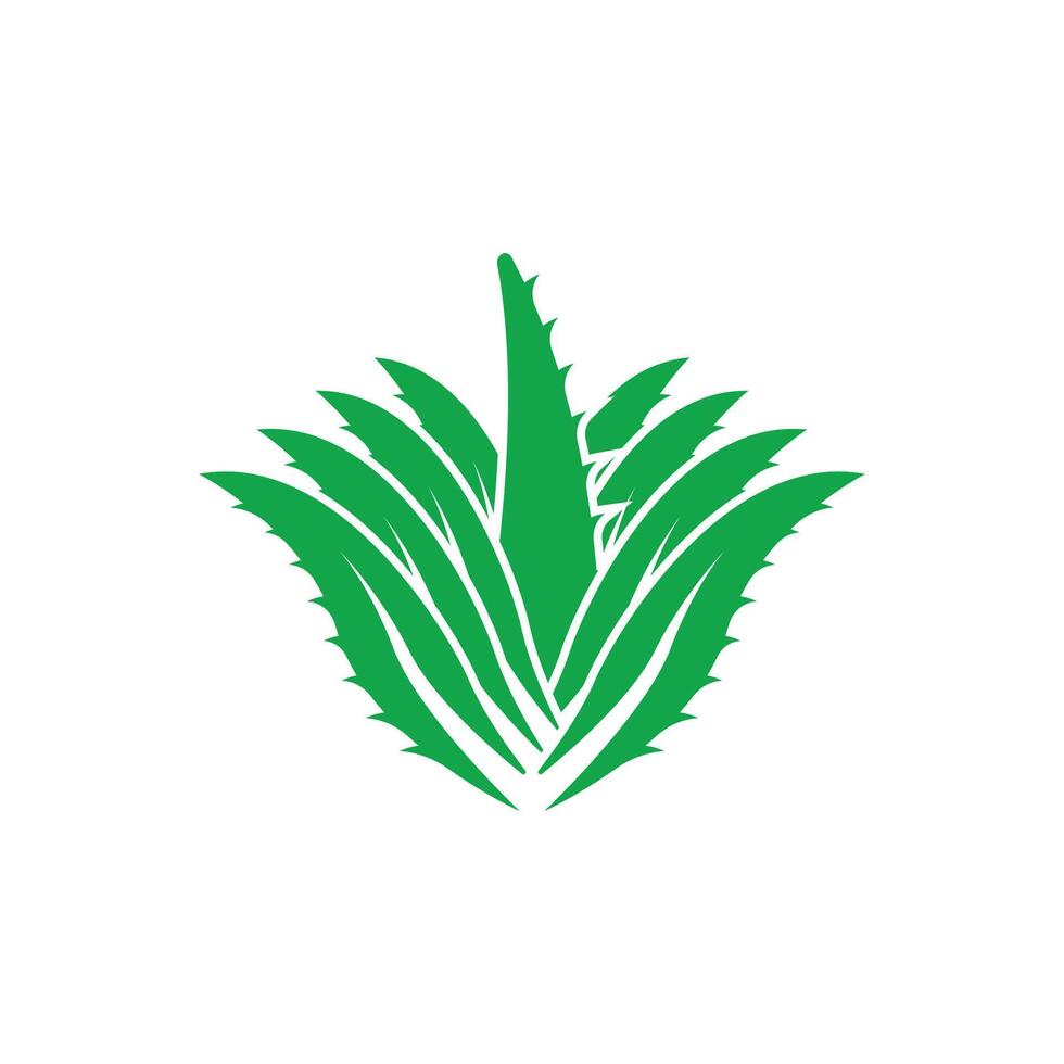 Aloe Vera logo icon design symbol beauty vector