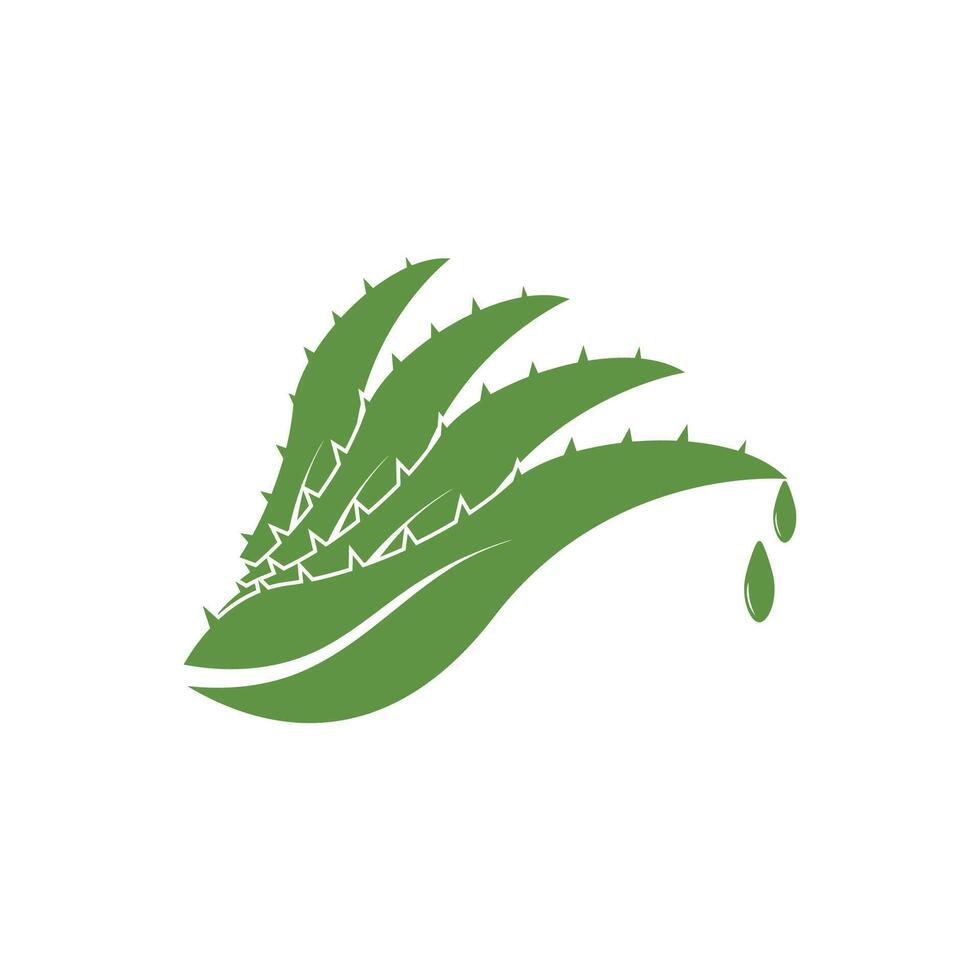 Aloe Vera logo icon design symbol beauty vector