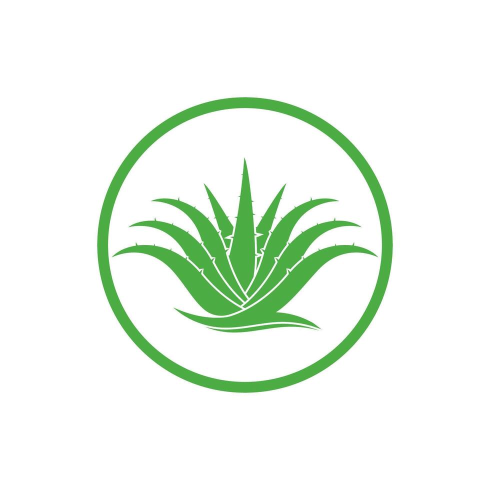 Aloe Vera logo icon design symbol beauty vector
