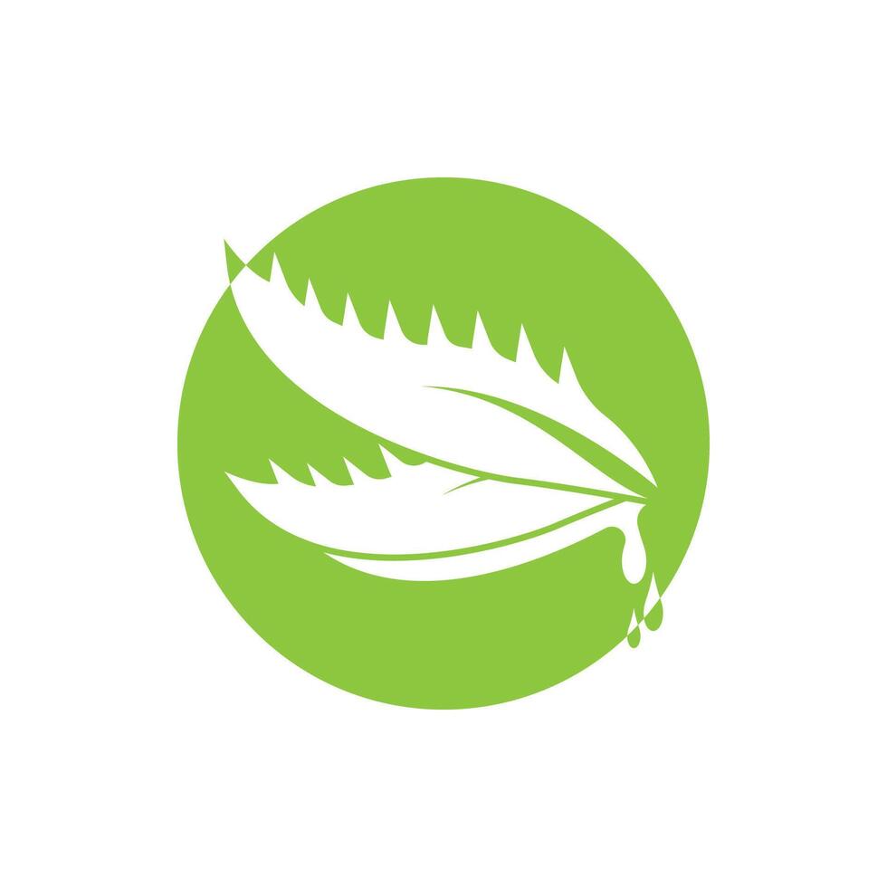 Aloe Vera logo icon design symbol beauty vector