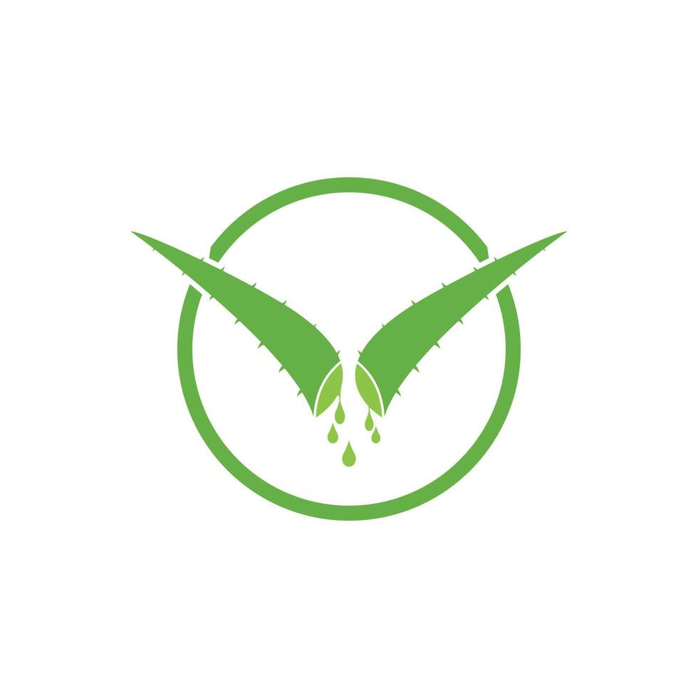 Aloe Vera logo icon design symbol beauty vector