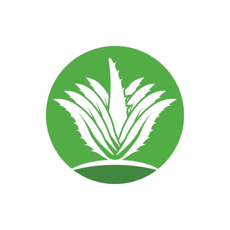 Aloe Vera logo icon design symbol beauty vector