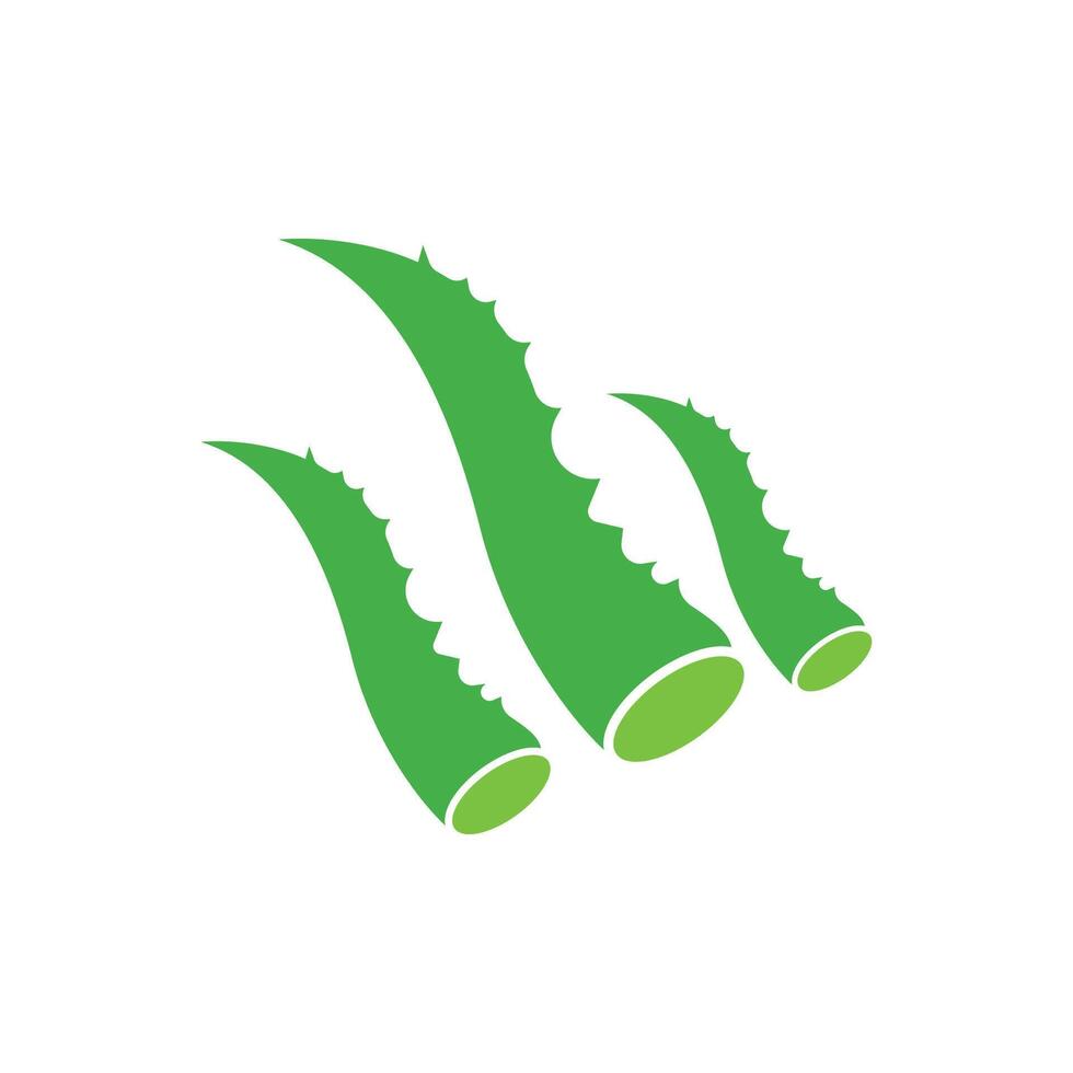 Aloe Vera logo icon design symbol beauty vector