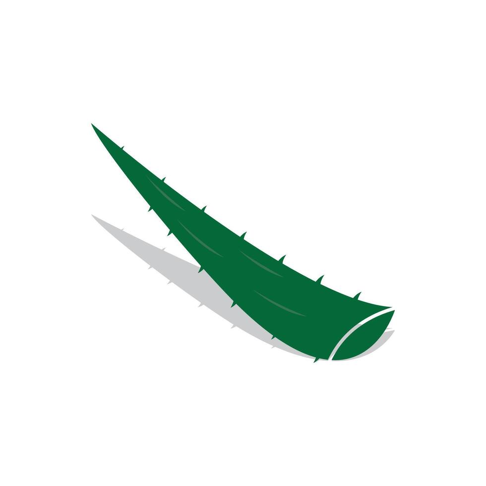 Aloe Vera logo icon design symbol beauty vector