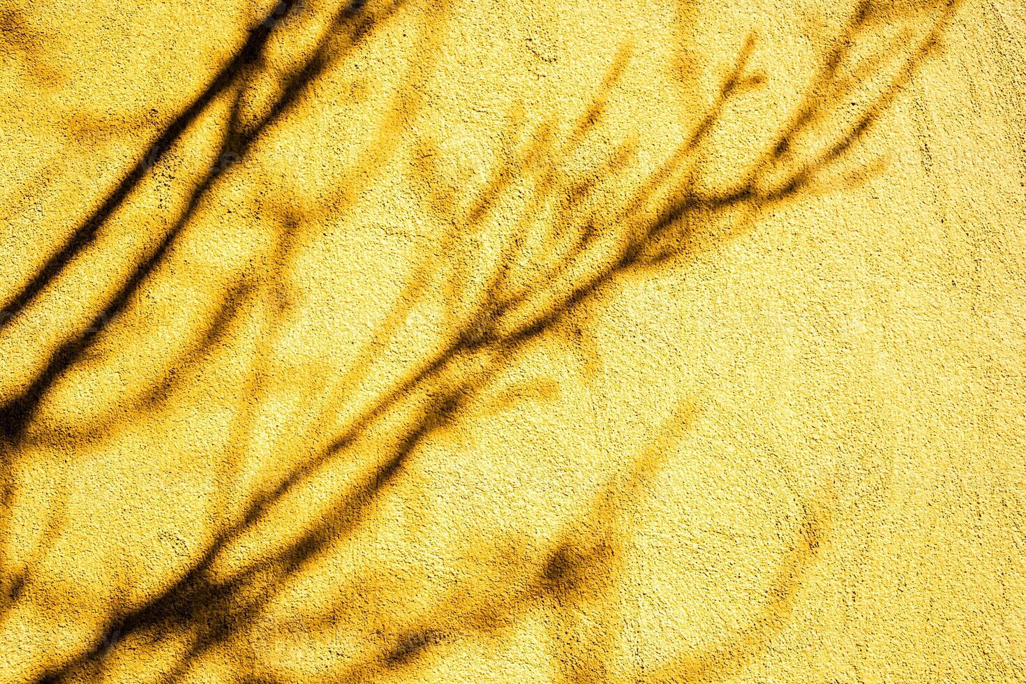 Shadow of tree branches on a yellow textured wall, creating an abstract pattern, background. photo