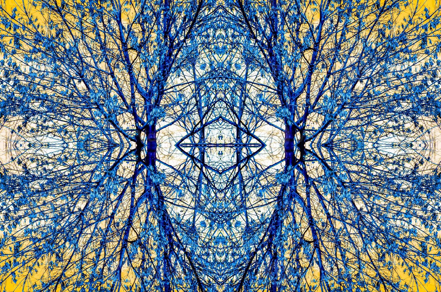 Symmetrical, kaleidoscopic image of tree branches with blue leaves against a yellow sky, creating an abstract and intricate pattern. photo