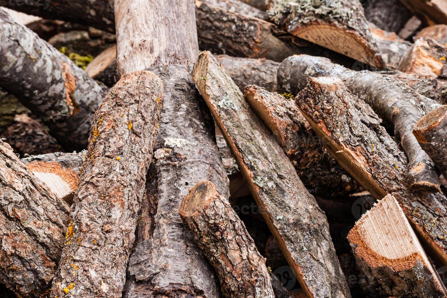 Pile of chopped firewood logs with rough bark, ready for use, stacked haphazardly, showcasing various sizes and textures. photo