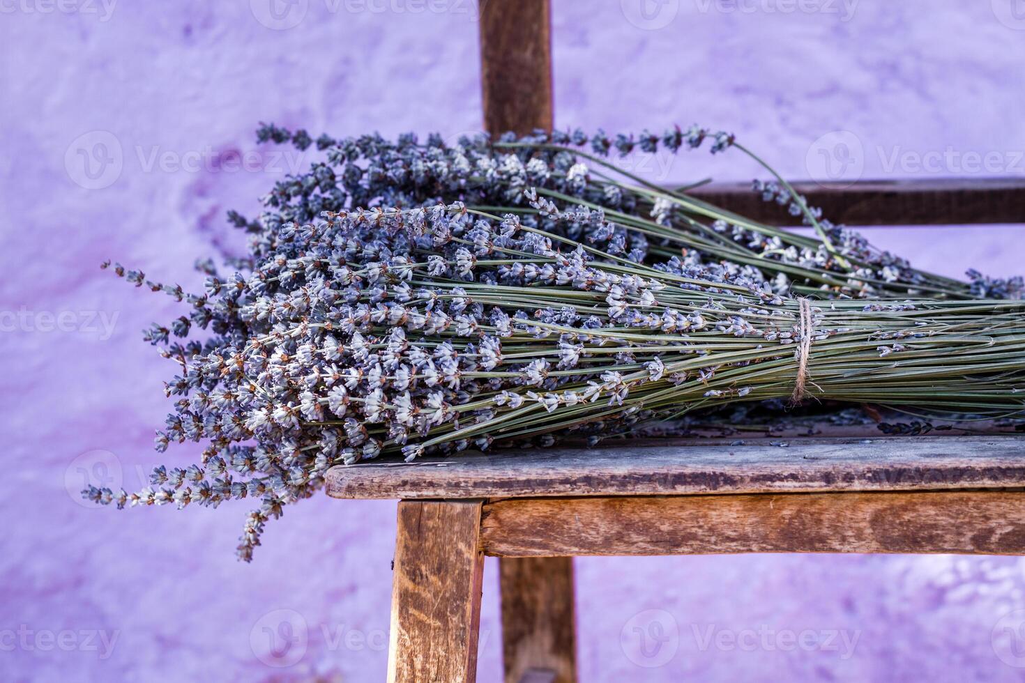 Bundle of Dry Lavender Resting on an Old Wooden Chair Against Purple Background photo