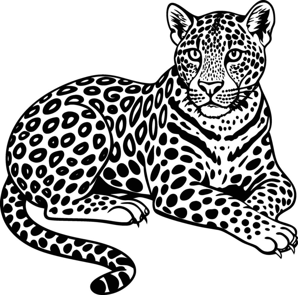 leopard lying silhouette vector