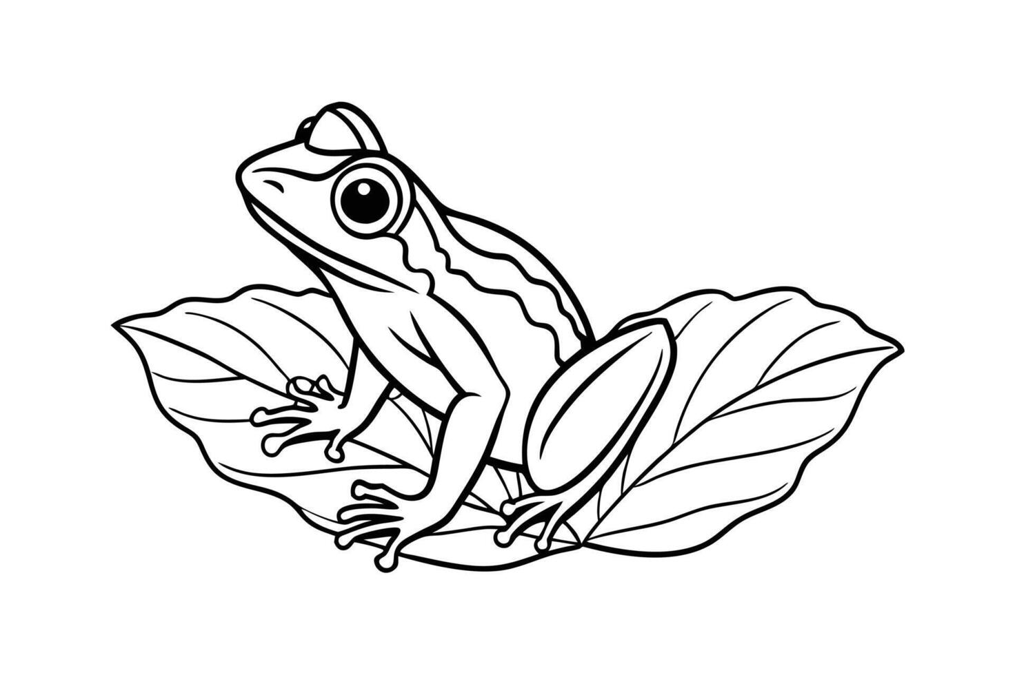 frog sitting on a leaf line art vector