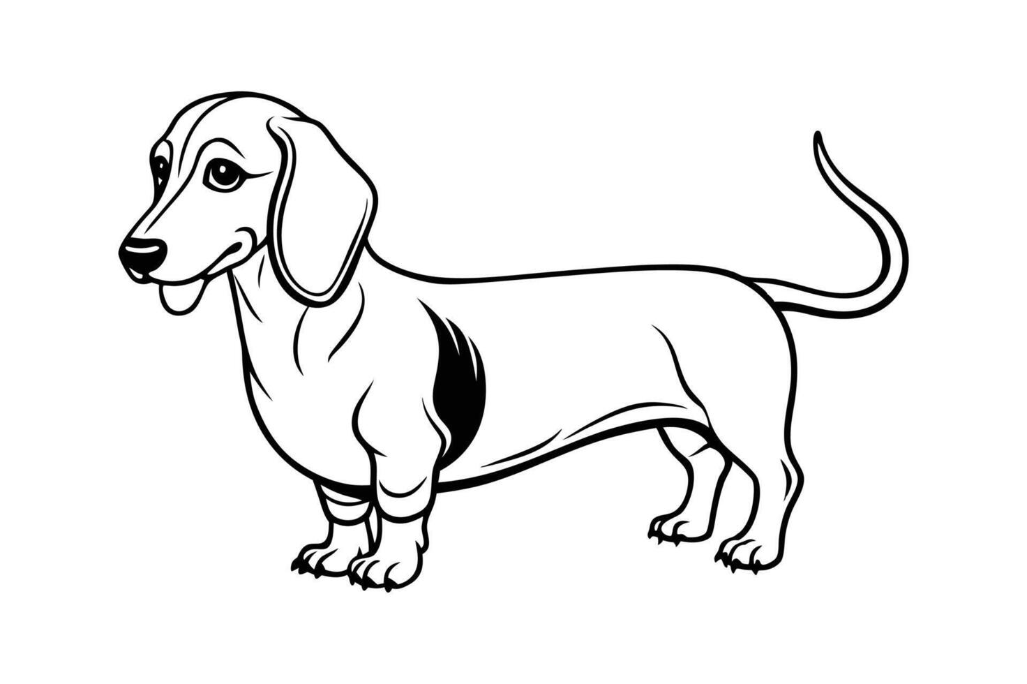 funny purebred dachshund dog line art vector