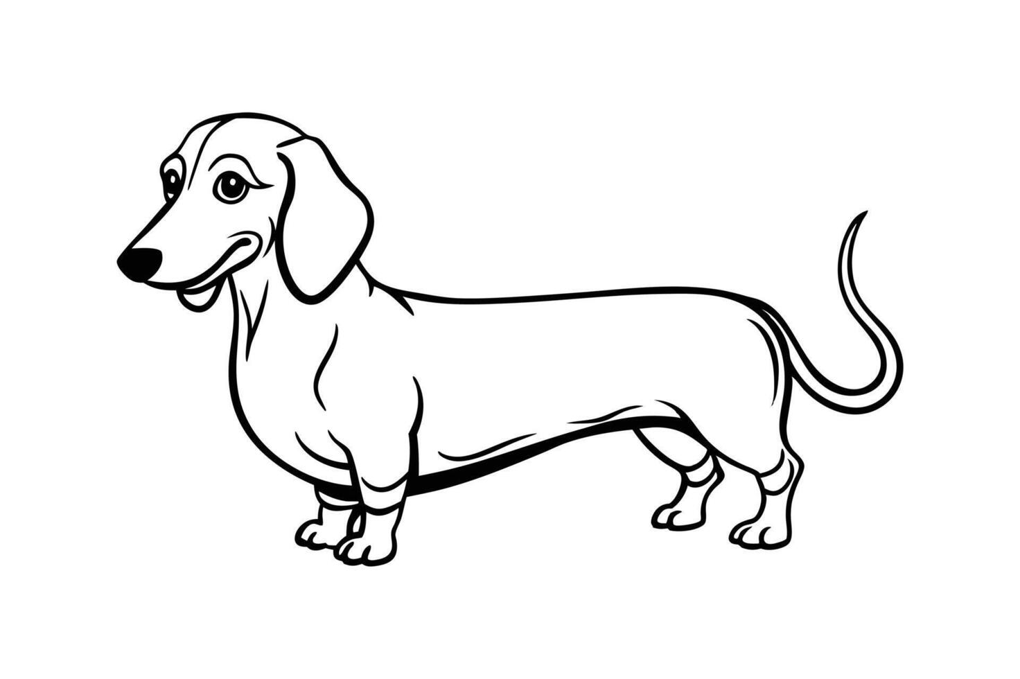 funny purebred dachshund dog line art vector