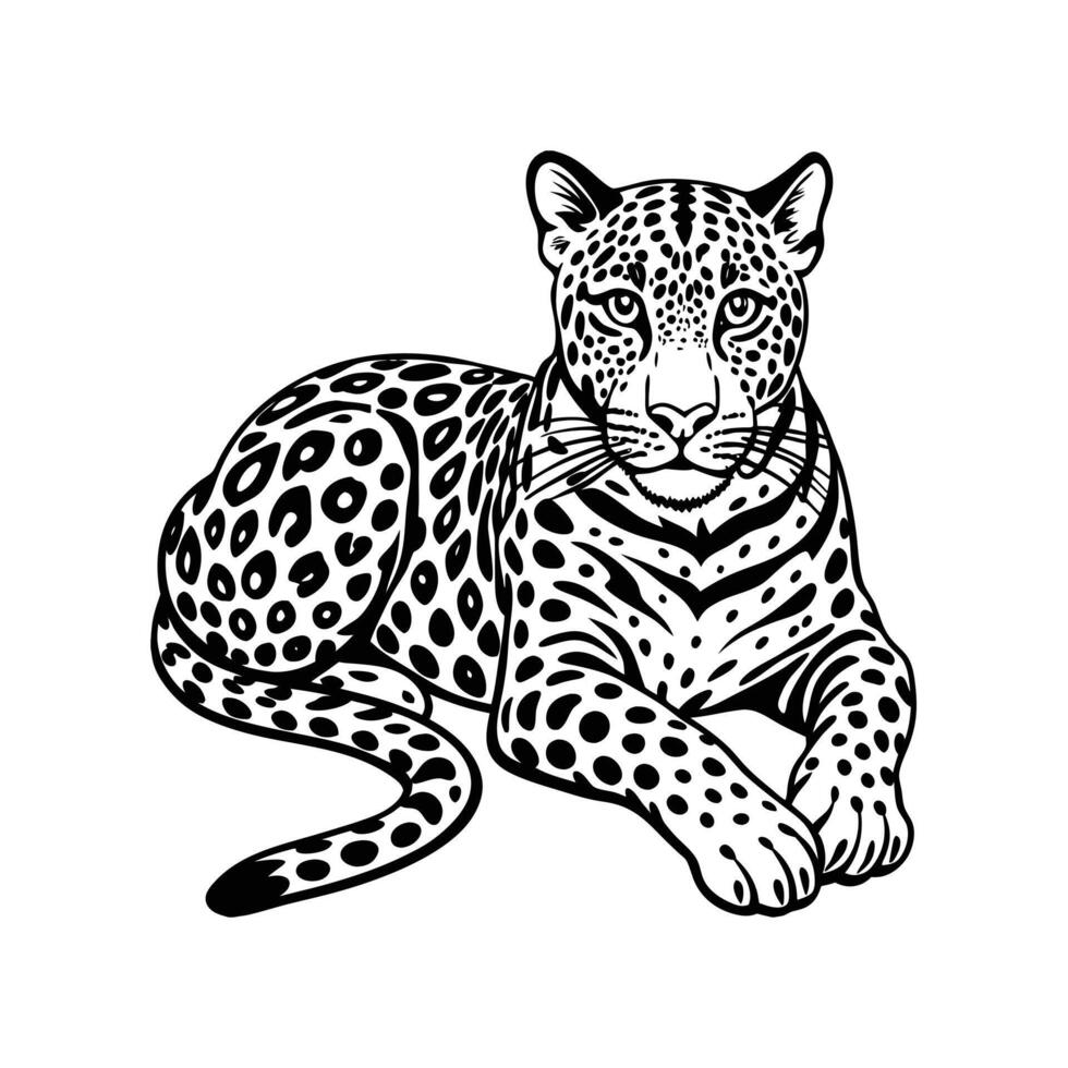 leopard lying silhouette vector