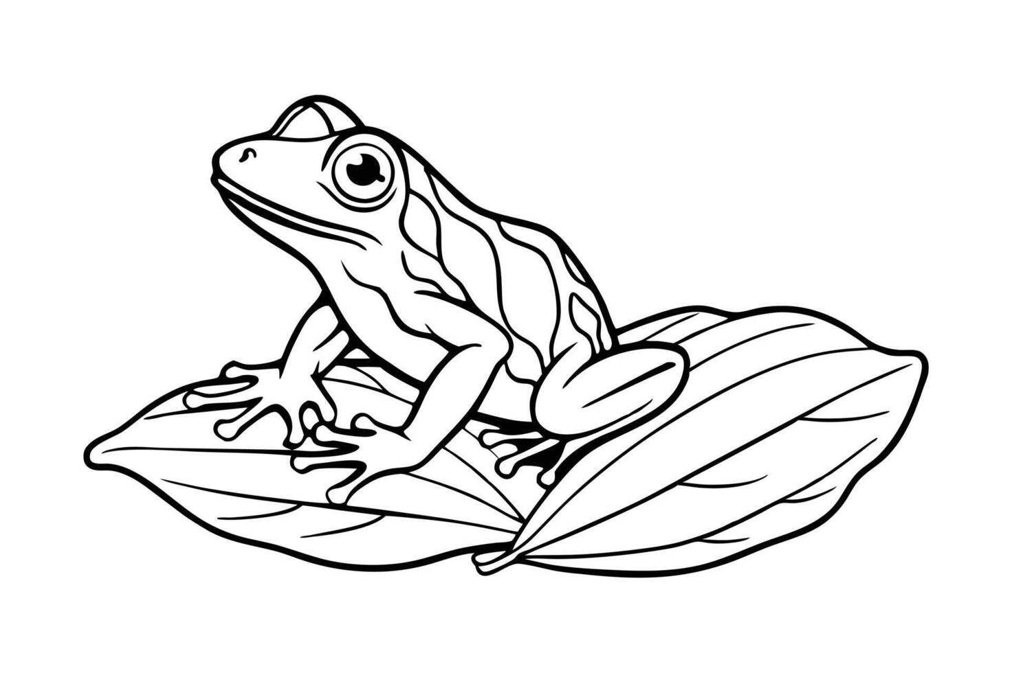 frog sitting on a leaf line art vector