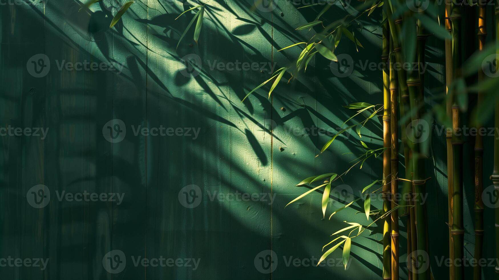 Light shines on the bamboo, casting shadows on the dark green Chinese-style wall. photo