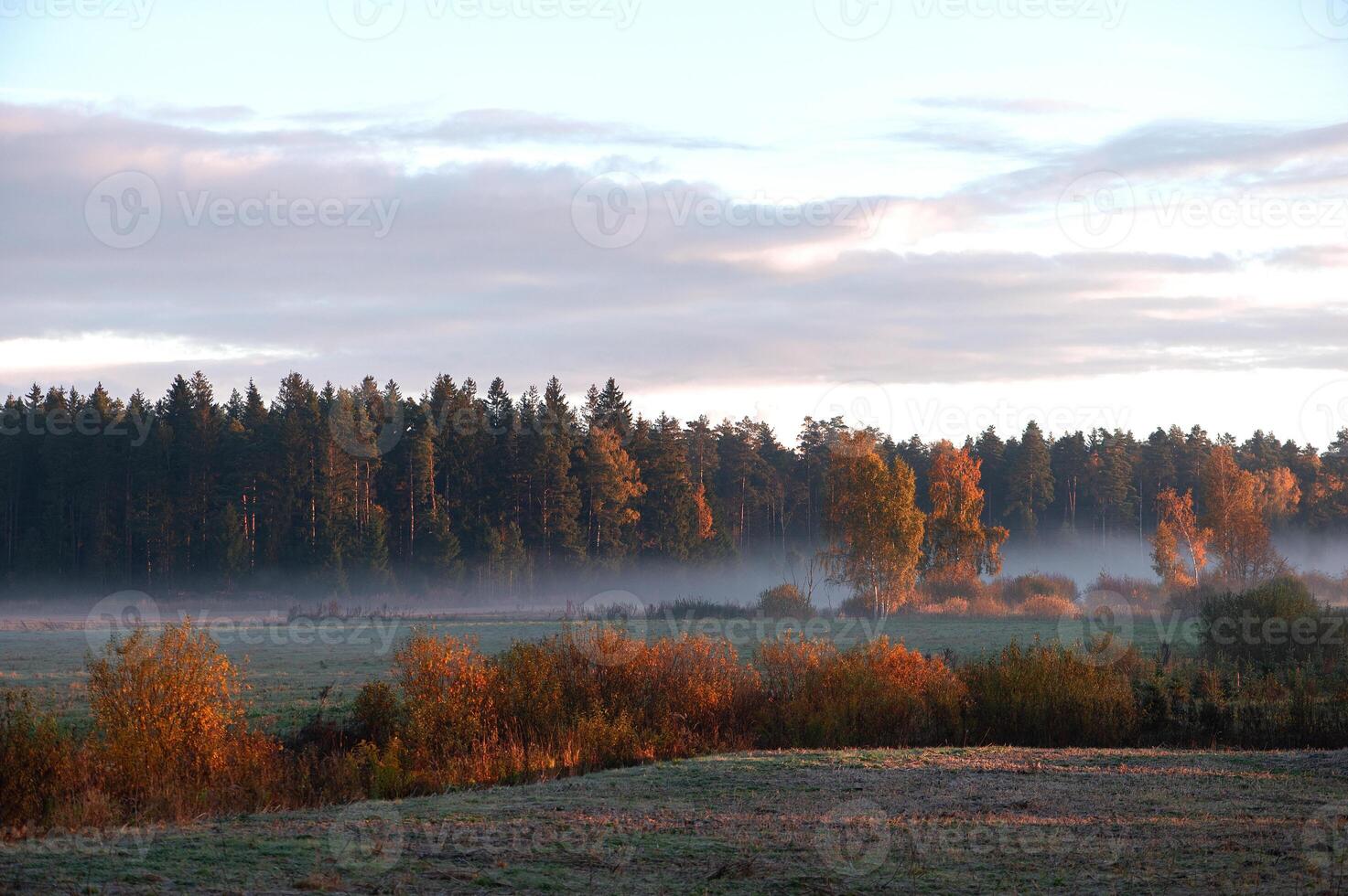 Colorful autumn landscape with trees and fog on field during sunrise photo