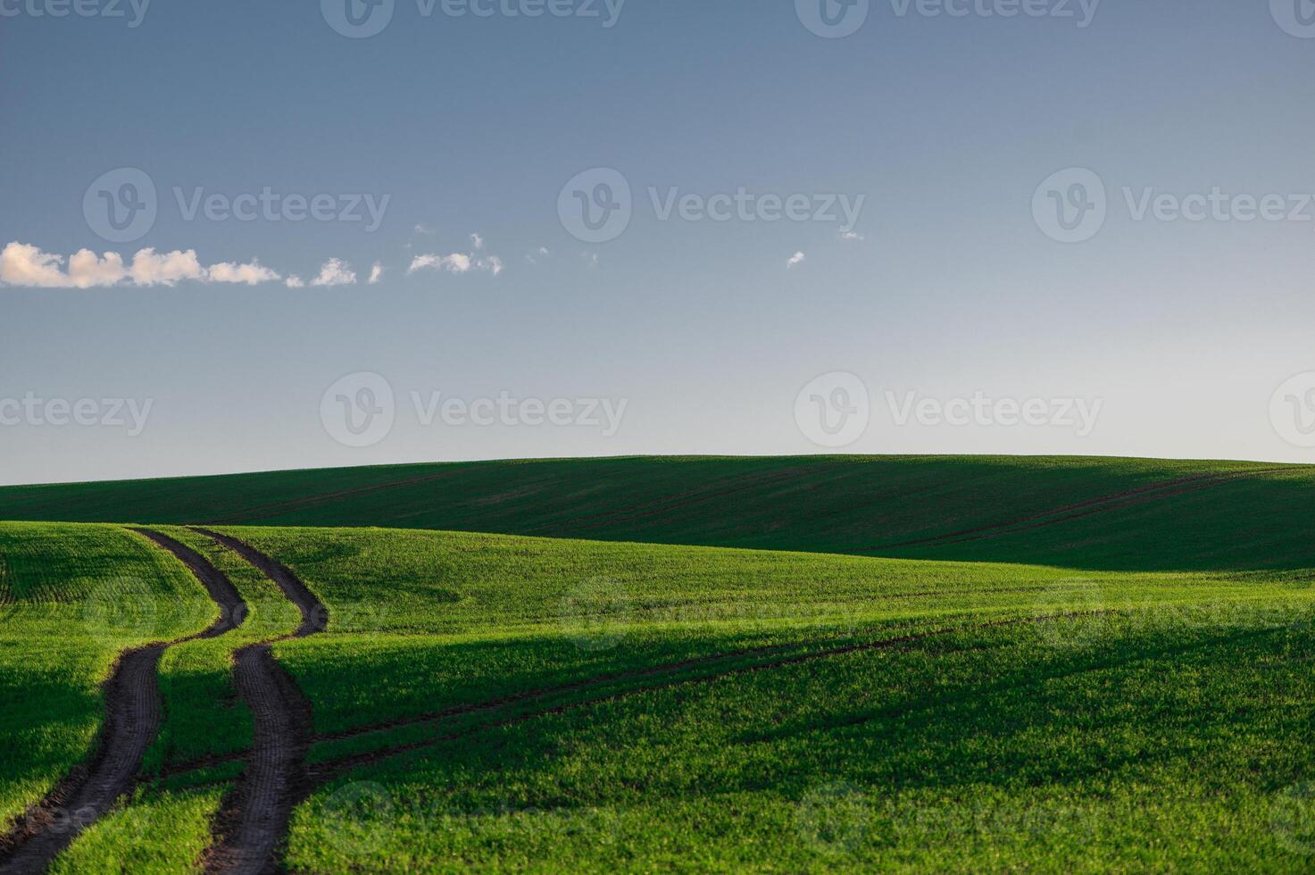 A clean rural landscape with a green field, blue sky and a tractor track photo