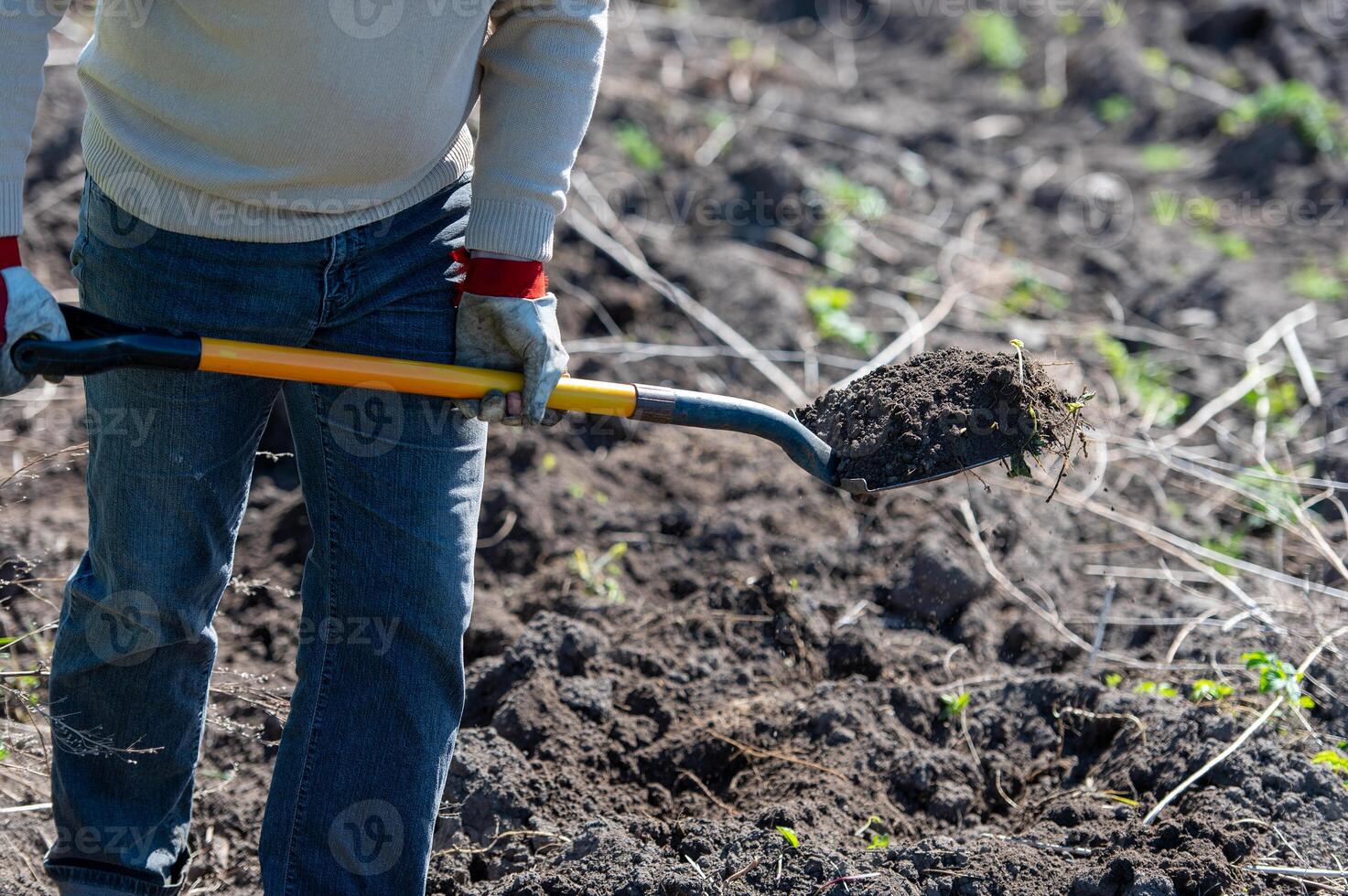 man farmer working with garden tools, shovel and wheelbarrow on the site of a country house photo