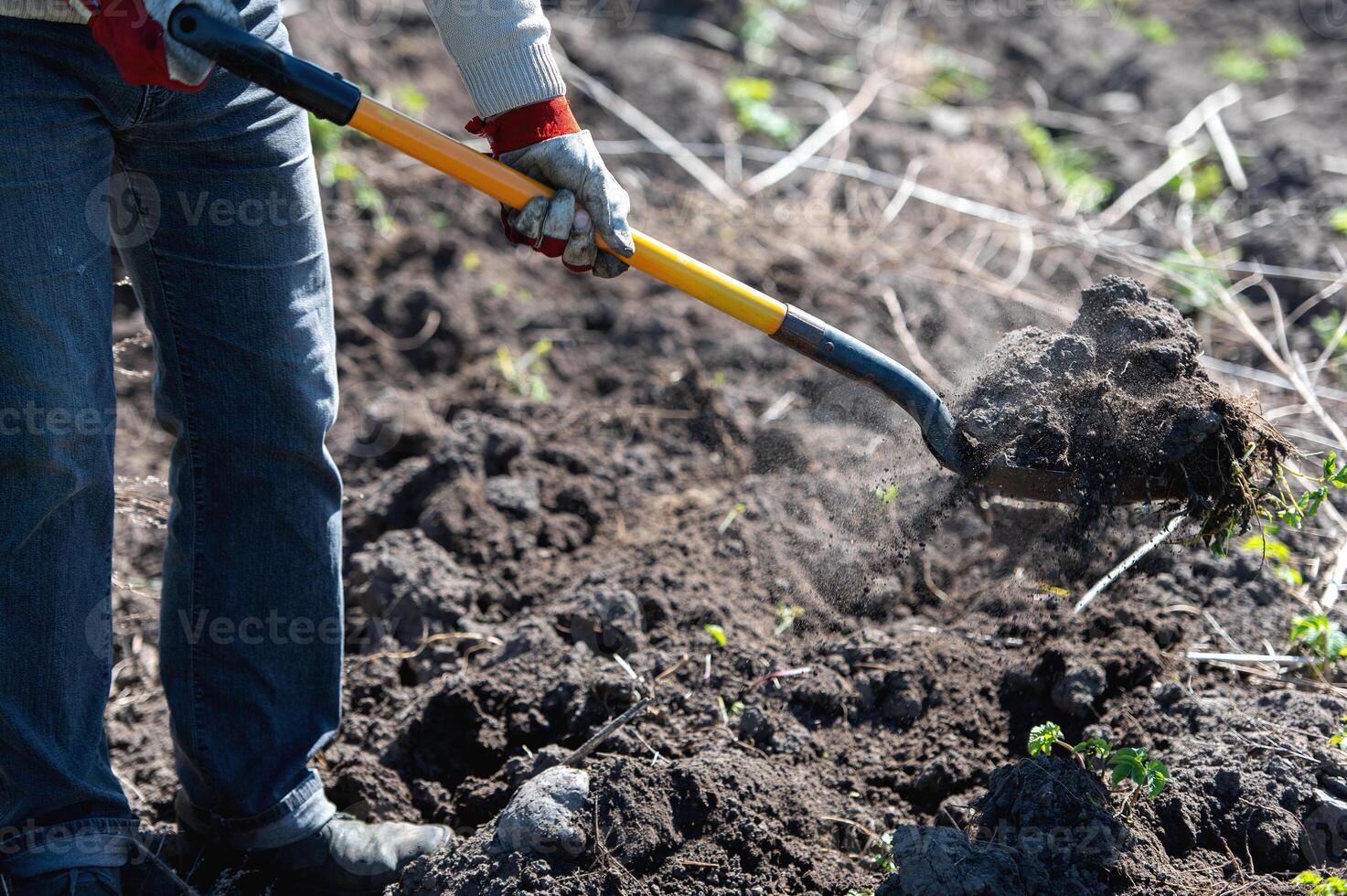 man farmer working with garden tools, shovel and wheelbarrow on the site of a country house photo