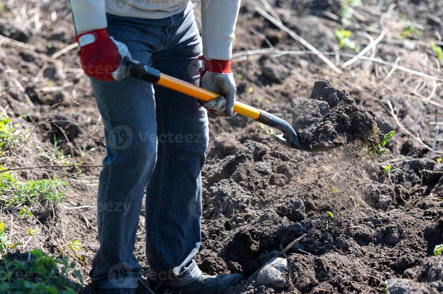 man farmer working with garden tools, shovel and wheelbarrow on the site of a country house photo