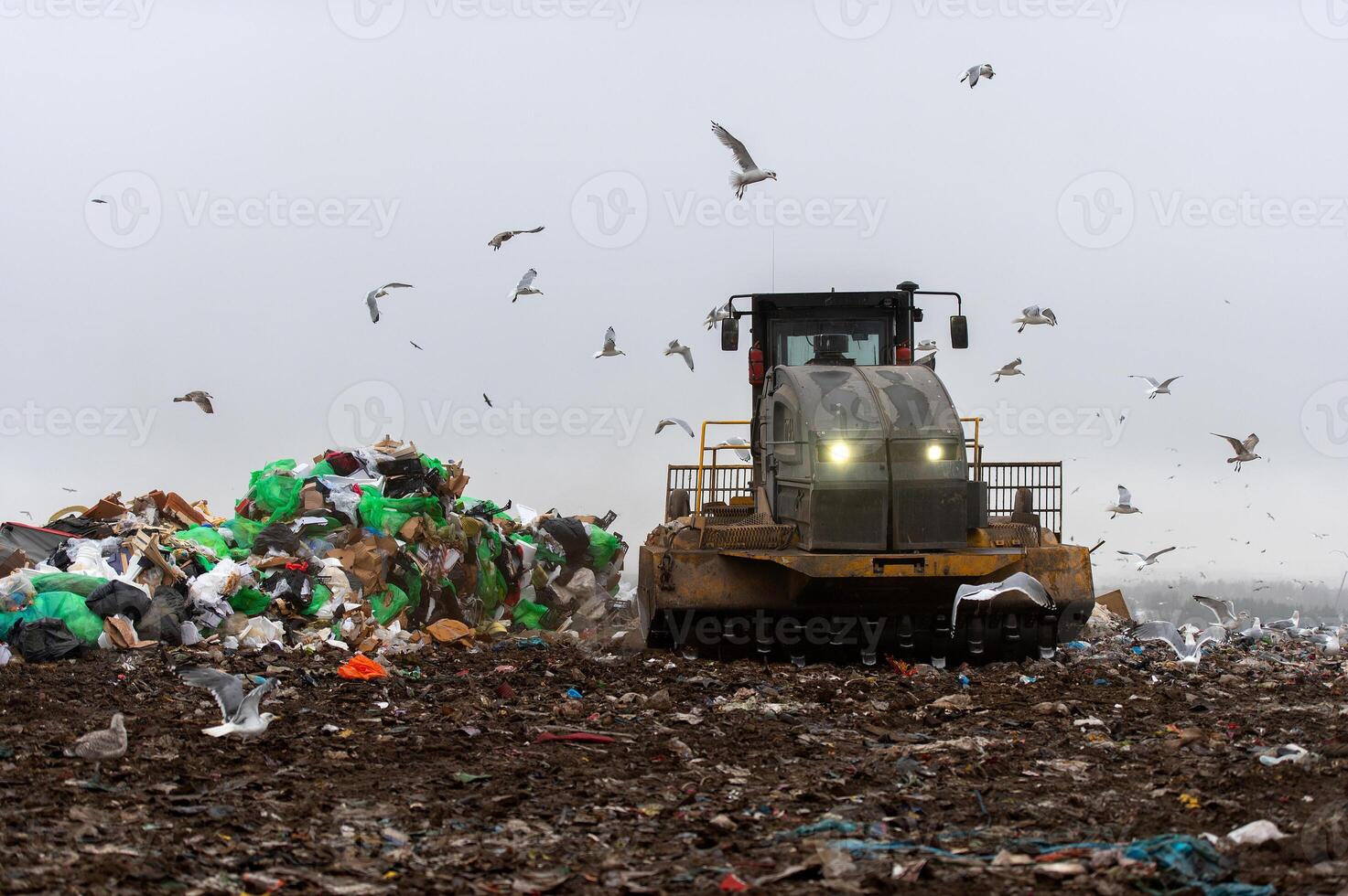 Machinery working on waste in landfill, refuse collection with bulldozer, a lots of birds photo