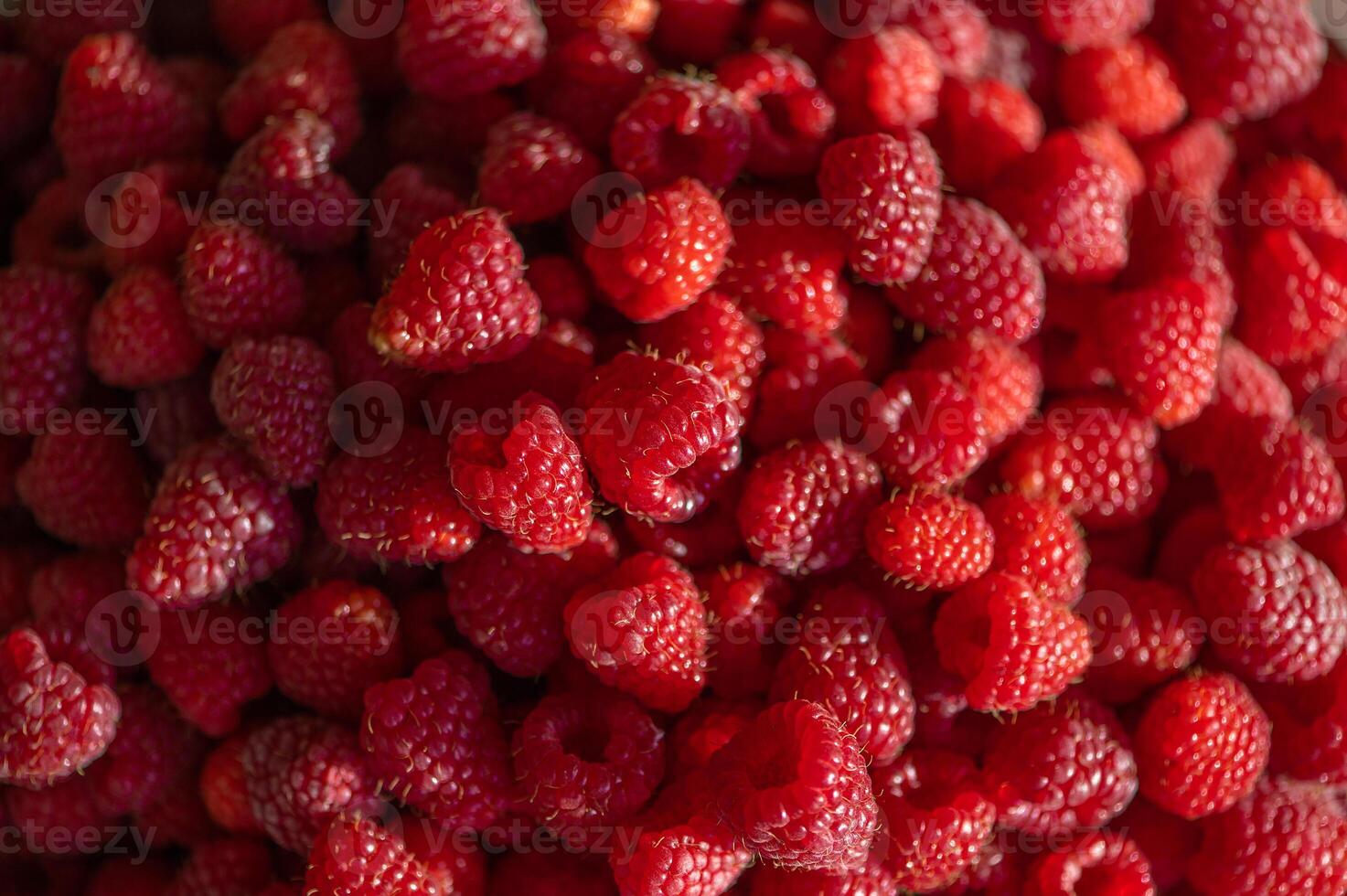 Fresh raspberries background. Healthy food organic nutrition. Top view from above photo