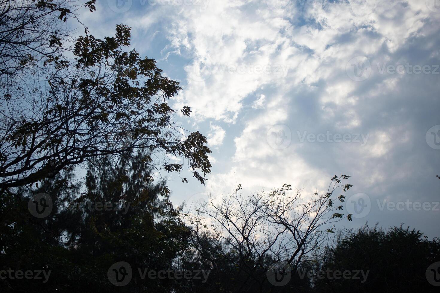 heaven cloudy dark clouds sky in sunset twilight evening dusk time with sunlight ray from between clouds with tree silhouette background photo