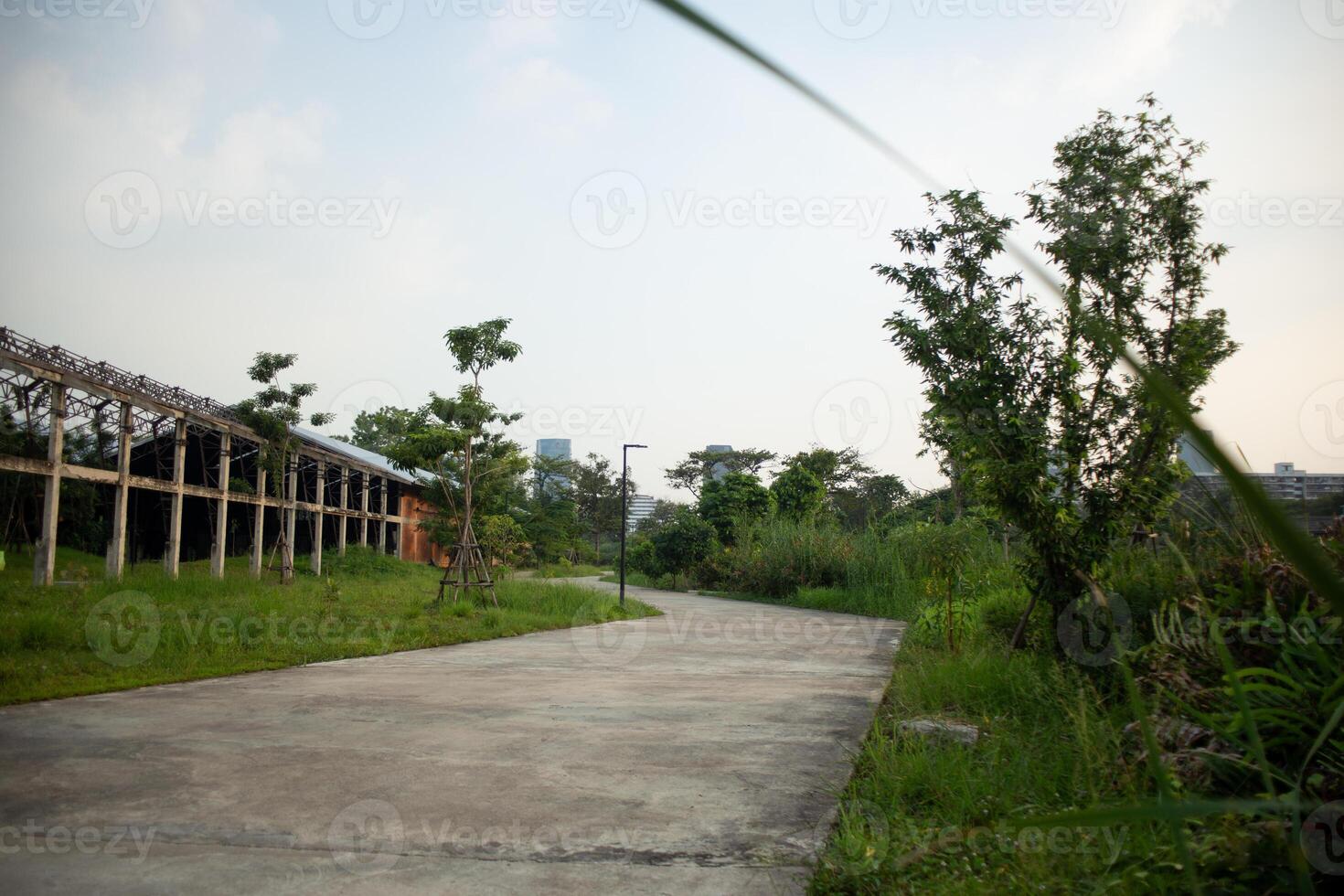 The road street walkway cuts through the forest wood park with tree leaf shadow from sun rays in summer sunrise background town city photo
