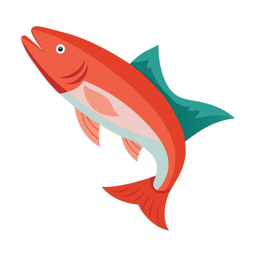 fish illustration on white background vector