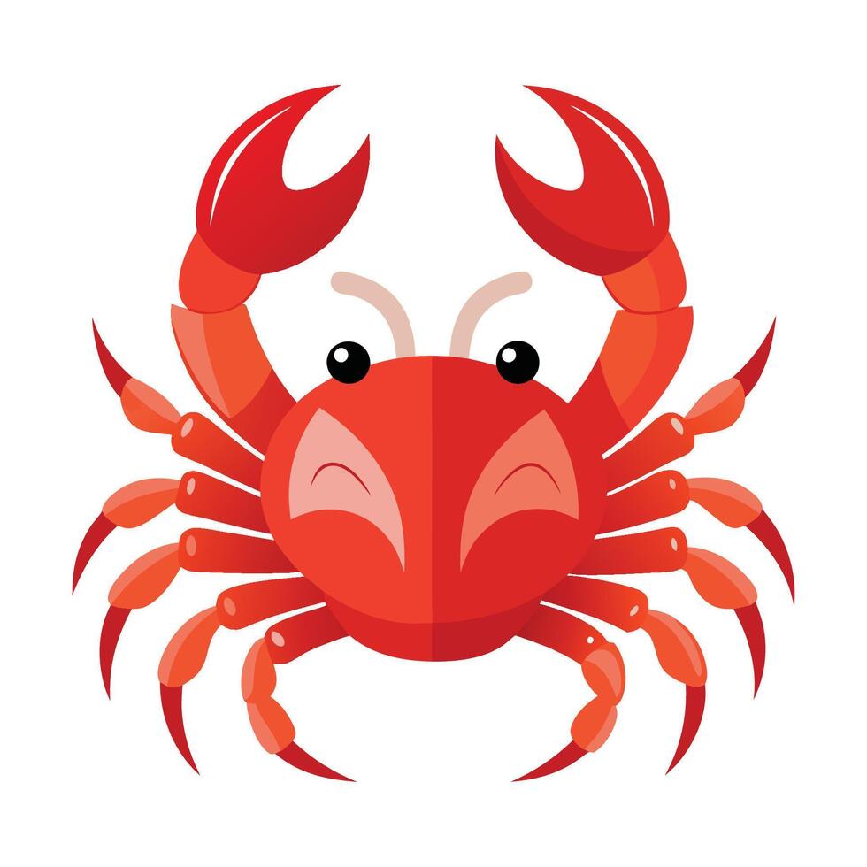 a red crab on a white background vector