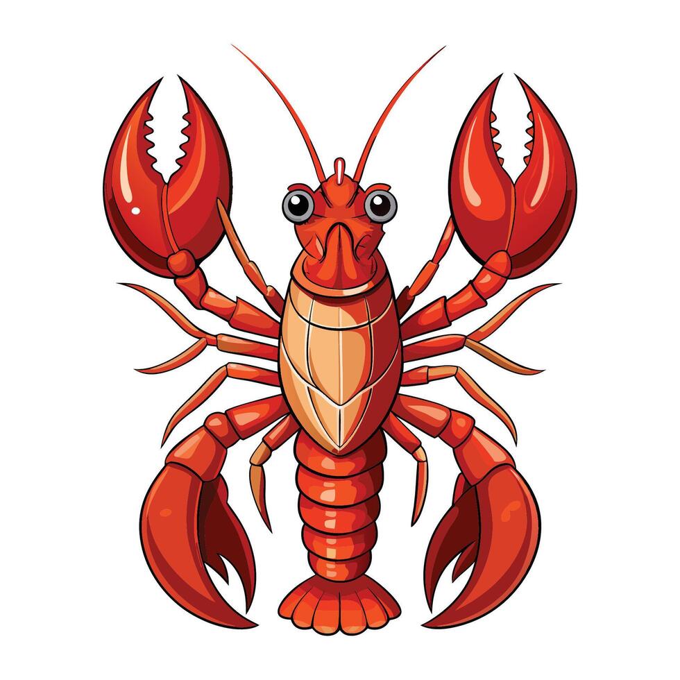 a lobster illustration vector