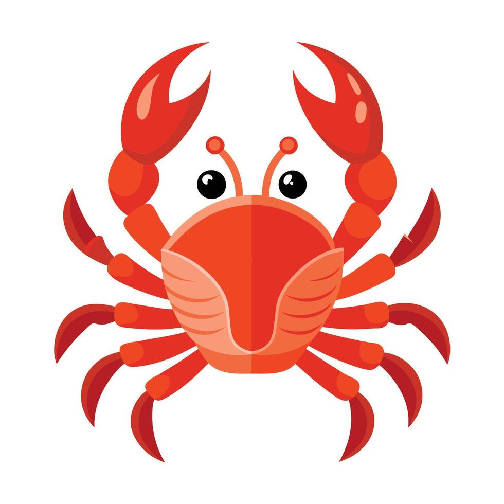 a cartoon crab on a white background vector