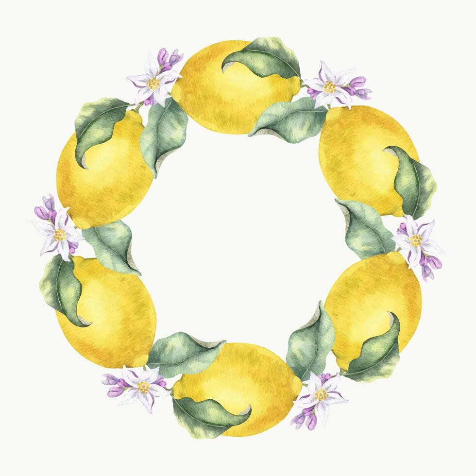 Lemon Branches with fruits, flowers and leaves. Isolated hand drawn watercolor frame. Tropical citrus fruit. Template for menu, package, cosmetic, textile, cards vector