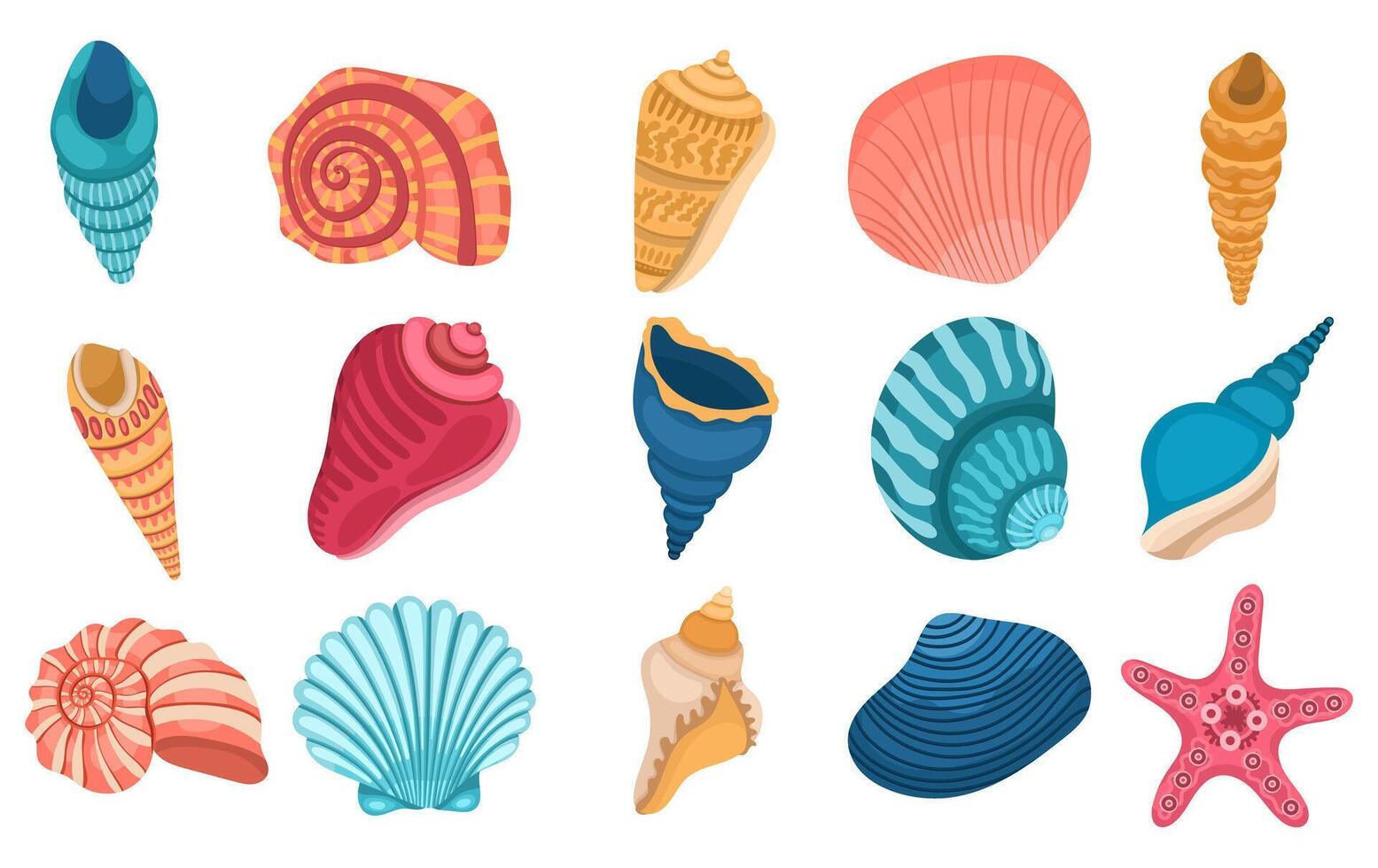 Large collection of different seashells on a white background vector
