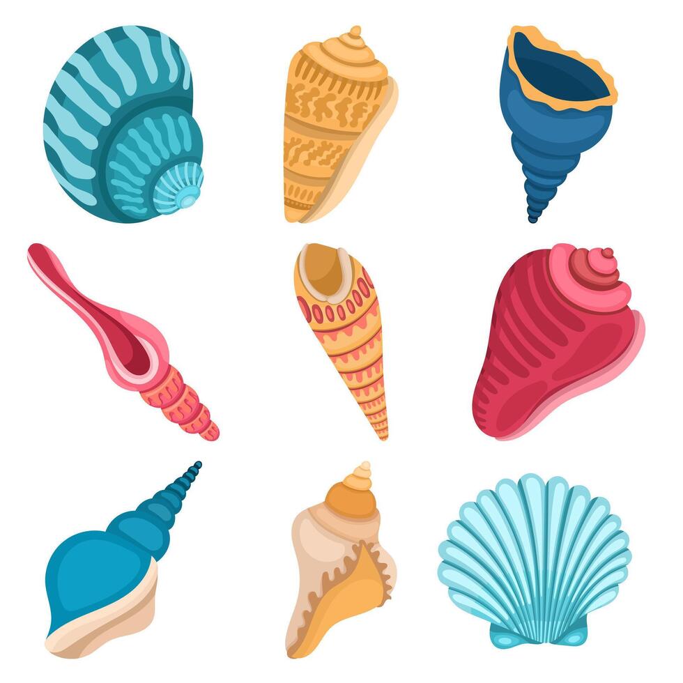Set of different bright and colorful seashells on a white background vector