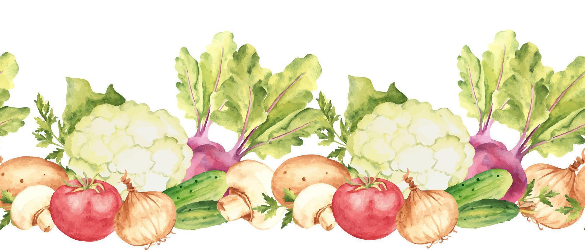 Vegetables horizontal Watercolor Seamless Border Pattern. Hand drawn botanical illustration. Can be used for fabric, textile, packaging print, product design. vector