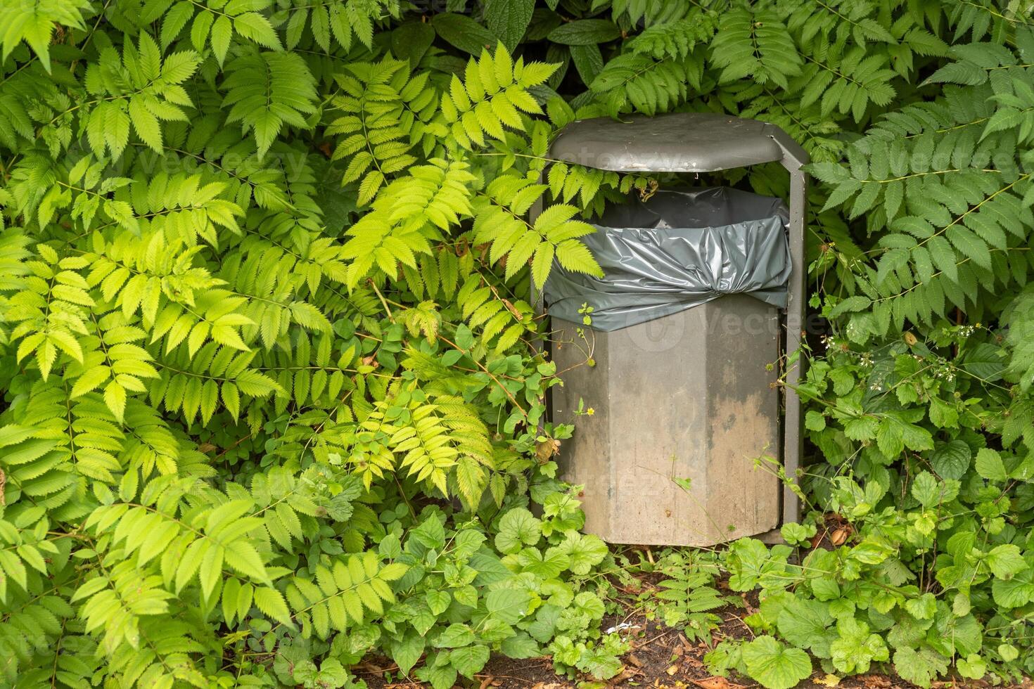 litter bin in the bushes of a park photo