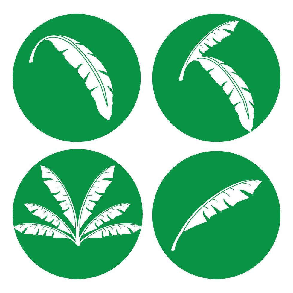 banana leaf design vector