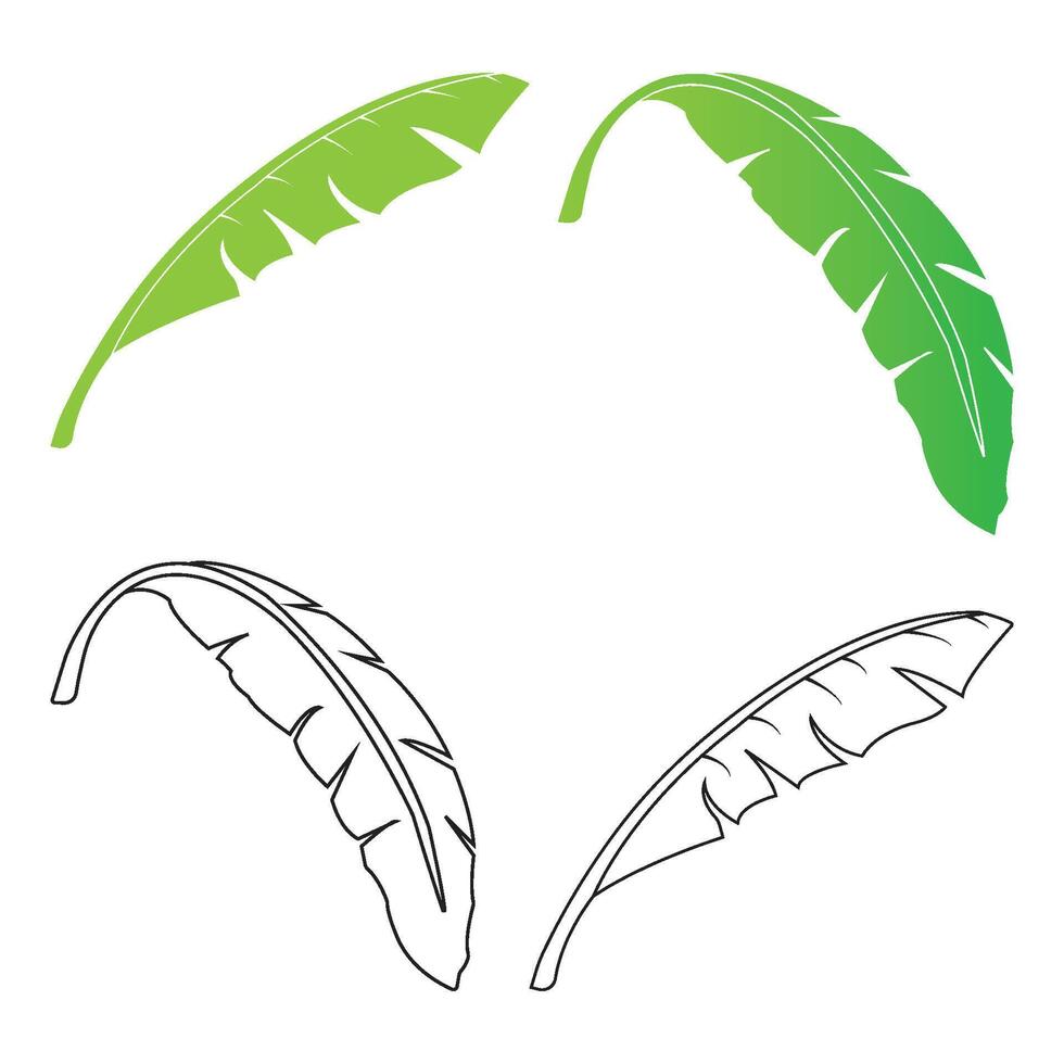 banana leaf design vector