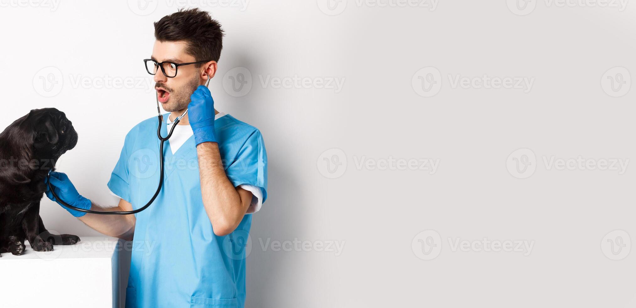 Image of handsome doctor in vet clinic examining dog health, checking pug lungs with stethoscope, standing over white background photo