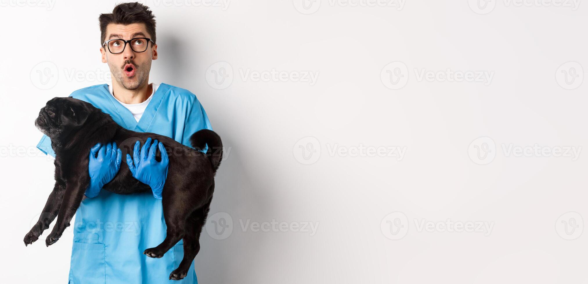 Vet clinic concept. Amazed male doctor veterinarian holding cute black pug dog, smiling and staring up impressed, standing over white background photo