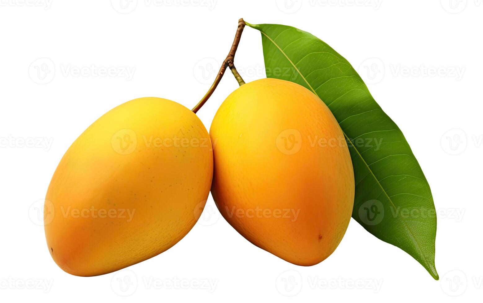 Mangoes, Isolated on White photo