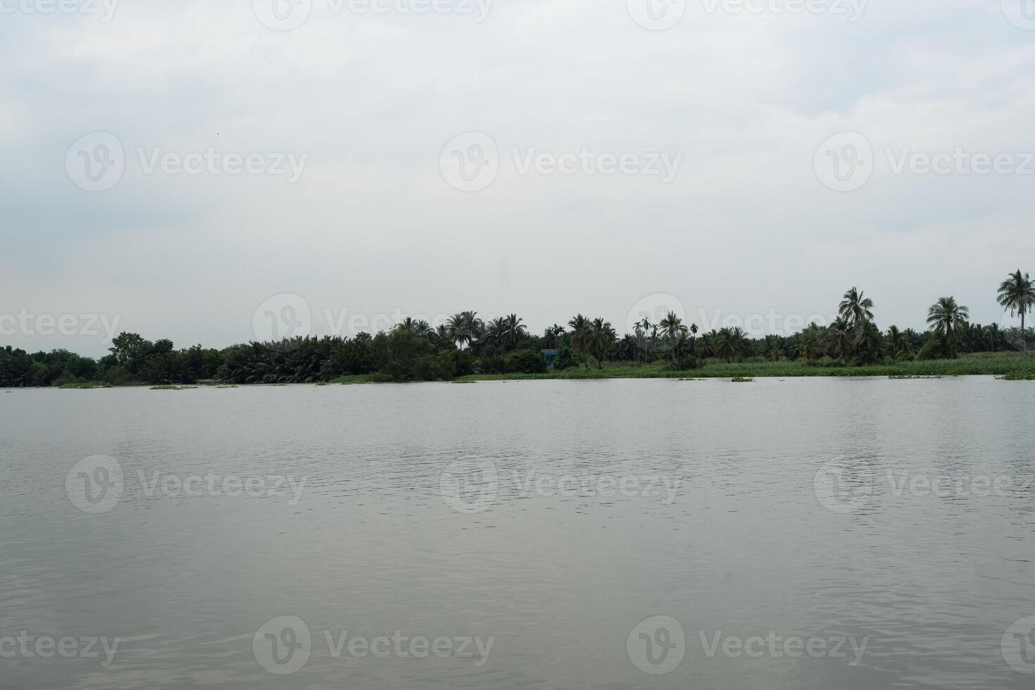 River named Tha Chin is one of the main rivers that is very important for agriculture in Thailand photo