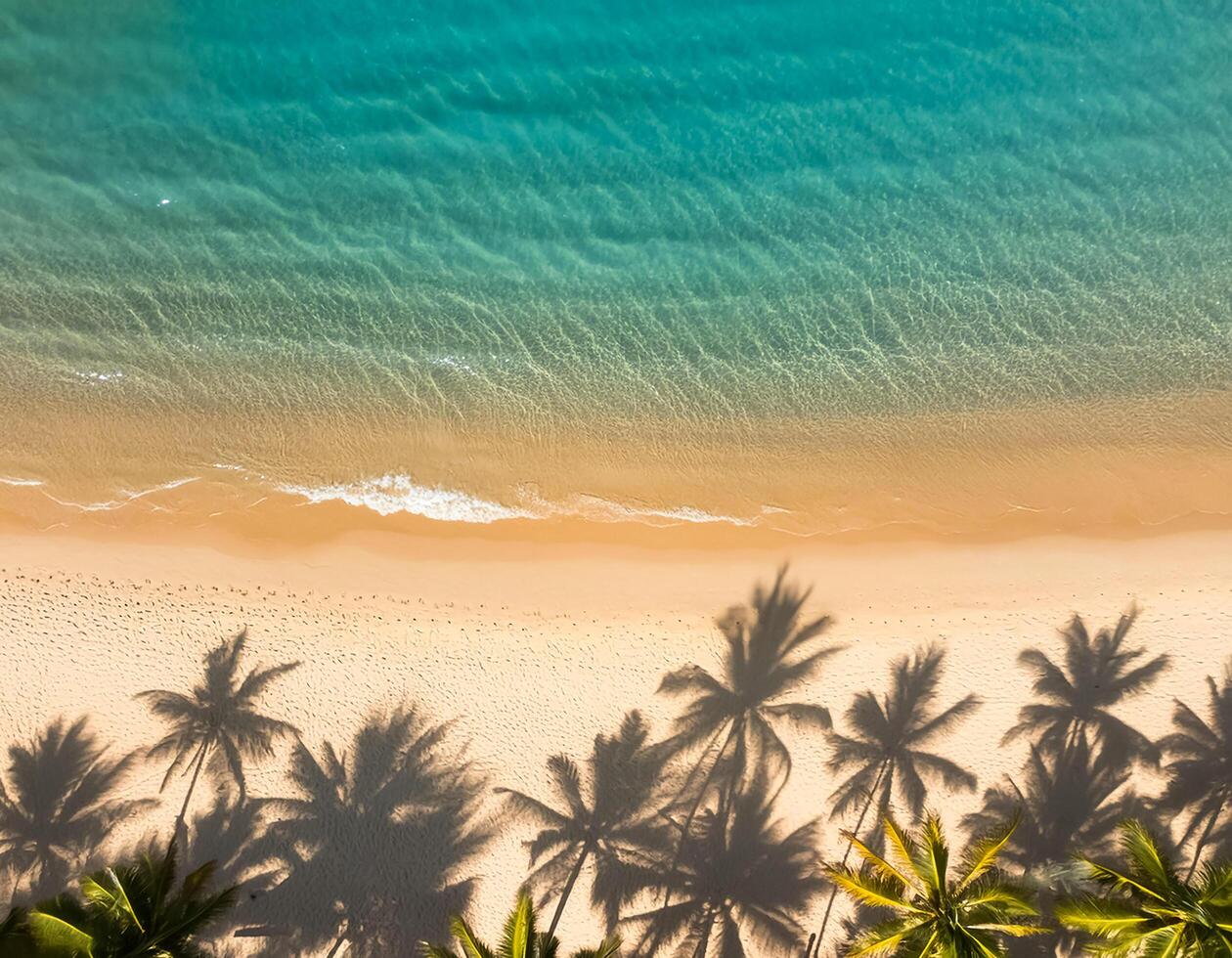 empty abstract sand beach with palm leaf shadow and transparent water wave from above, blank background banner for travel, vacation and wellbeing with copy space. top of views, aerial views. photo