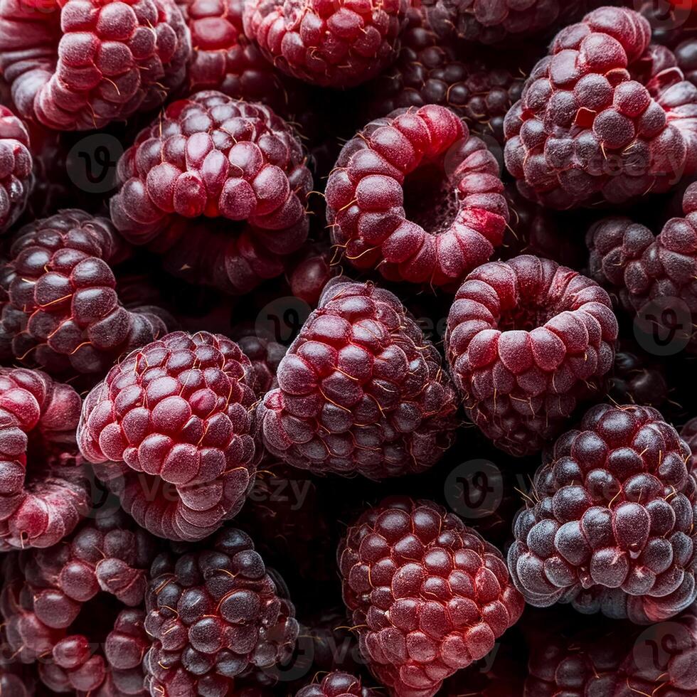 Close-up of ripe raspberries pattern texture background. photo