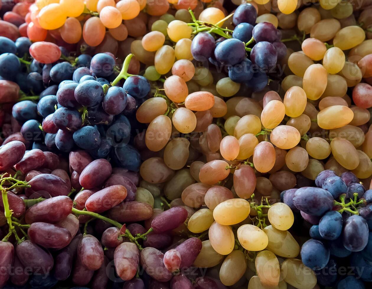 a pile of close-up grapes fruit fresh, organic. photo