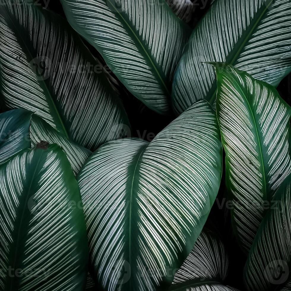 Nature view of green leaf and palms photo