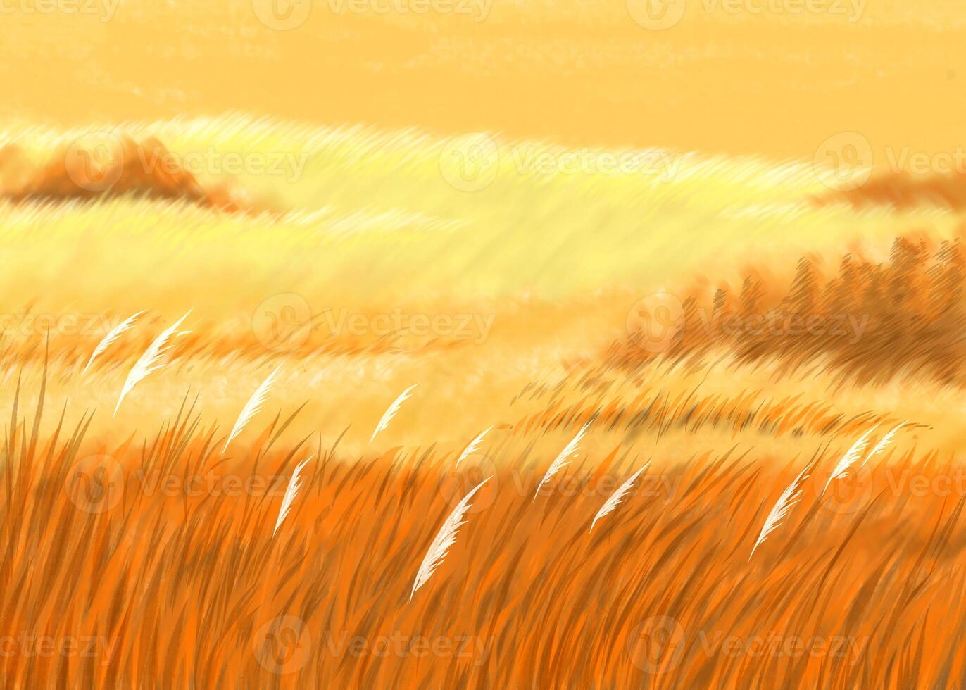 Dried grass, golden lawn as yellow or golden color background photo